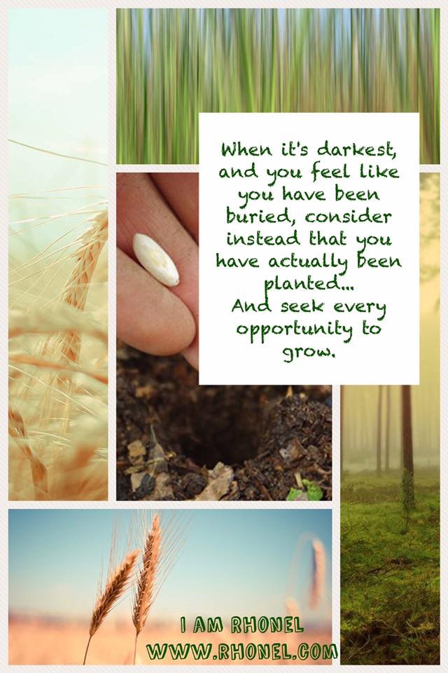 C0220AEB-3668-4784-BE89-4BCBE0B6E9FC